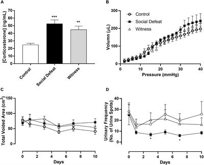 Voiding Behavior and Efferent Bladder Function Altered in Mice Following Social Defeat but Not Witness Trauma